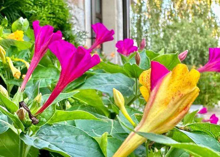 Apartman Menada Imperial Heights *