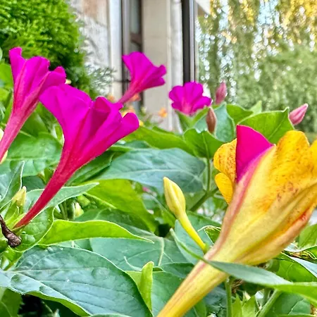 Daire Menada Imperial Heights *